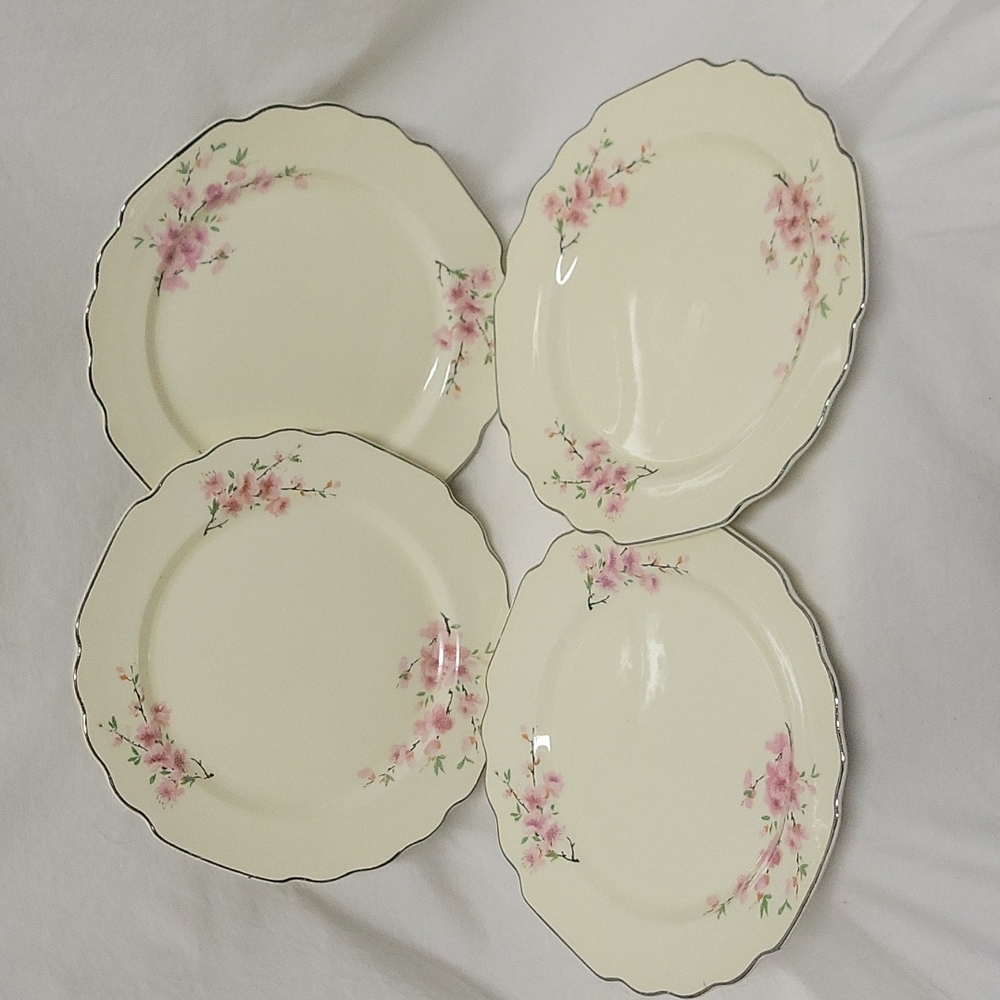 WS George LIDO Conarytone Cherry Blossom, set of 4